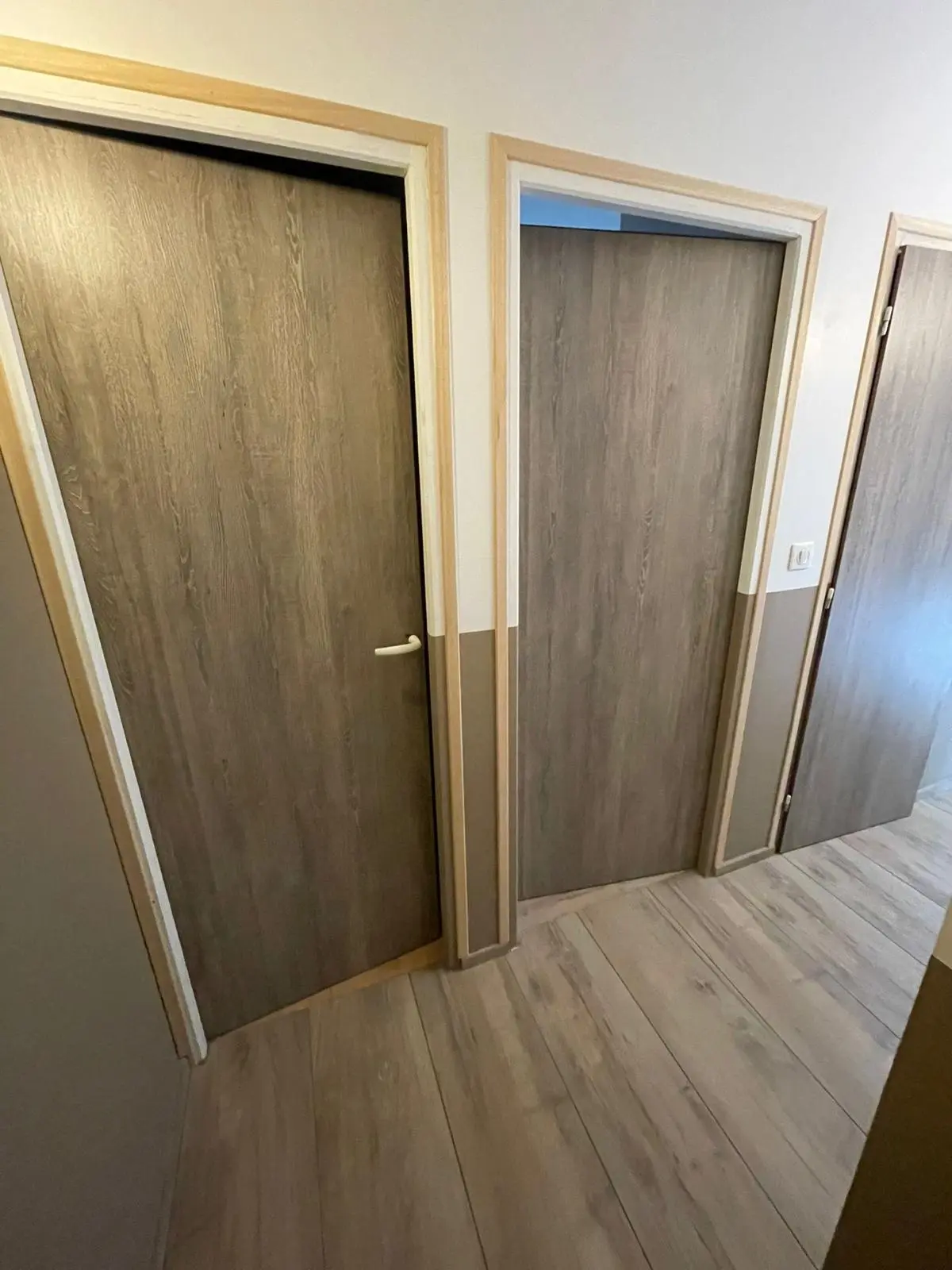 Porte intérieure moderne